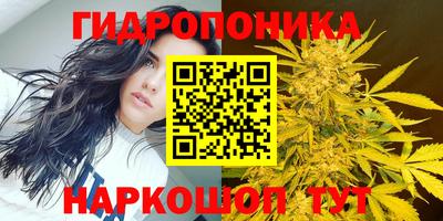 МДПВ Ливны