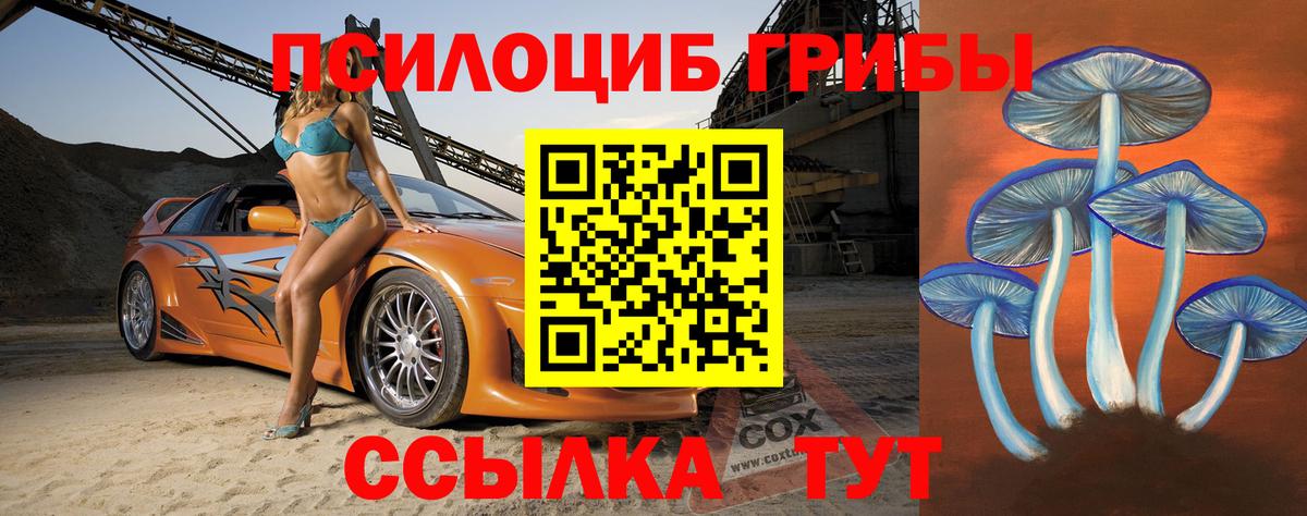 Галлюциногенные грибы Psilocybine cubensis  Вход с VPN  Гуково 